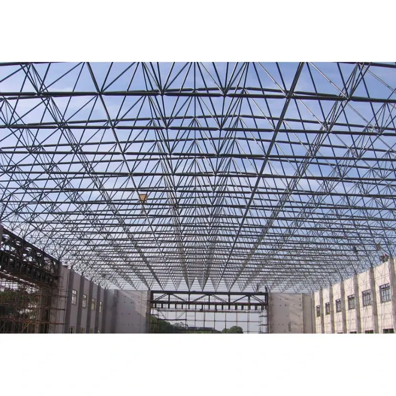 Large Span Steel Space Frame Structure